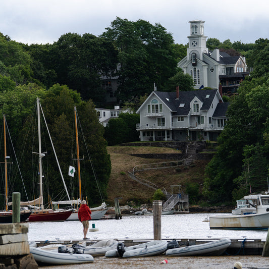 Did a Brooklyn Couple Kill a Neighbor’s Trees for a Better View in Maine?