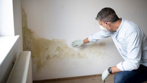 An Expert Shares the 7 Most Common Places Mold Is Hiding in Your Home