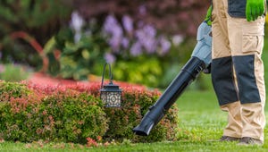 Best Leaf Blowers in 2025