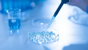 I Used AI to Help Me Navigate IVF. Here's What Experts Think About Using It