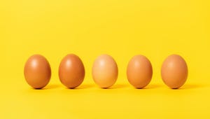 How Long Do Eggs Stay Fresh in the Fridge? Longer Than You Think