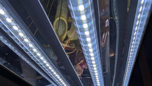 We Asked Experts How to Choose the Right Grow Lights