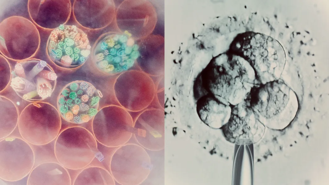 The Download: Google’s AI energy use, and the AI Hype Index