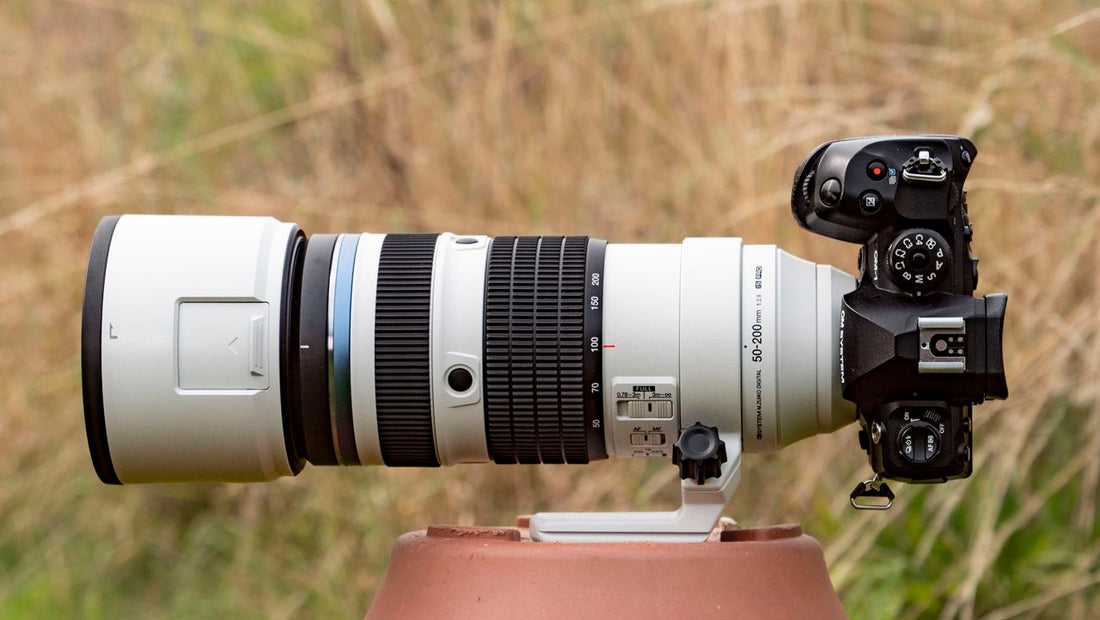 Forget full-frame – OM System's latest telephoto zoom proves that Micro Four Thirds is a top choice for macro and wildlife photography