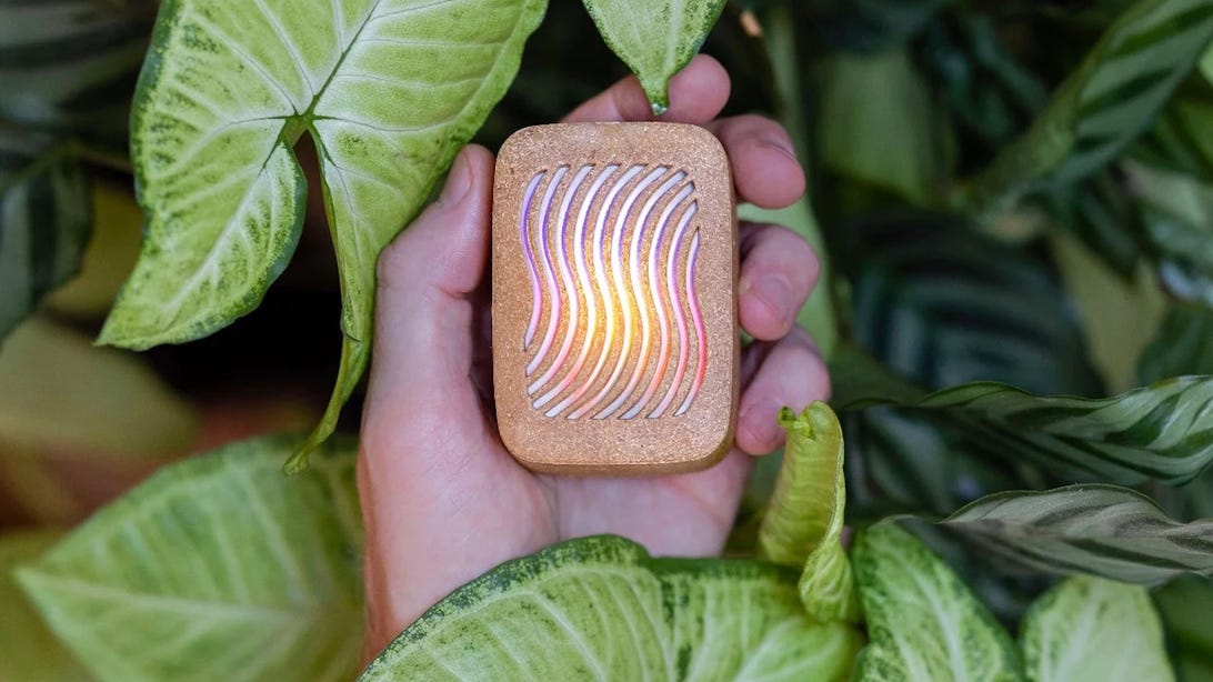 12 Best Gifts for Plant Lovers: Tech Edition