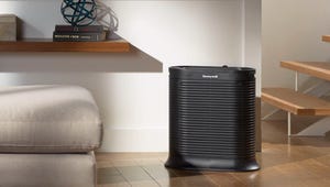 Best Air Purifiers for Pets, Large Rooms and Dust, as Tested by Our Experts
