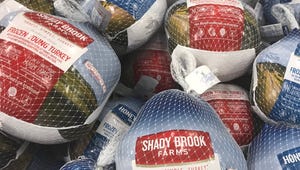 Bird Flu Is Causing Turkey Prices to Jump Ahead of Thanksgiving. Here's How Pricey They Could Get