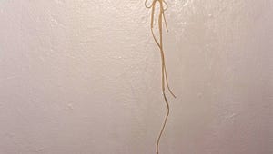 This Italian Chef Wants You to Stop Whipping Cooked Pasta Against the Wall. Here's Why