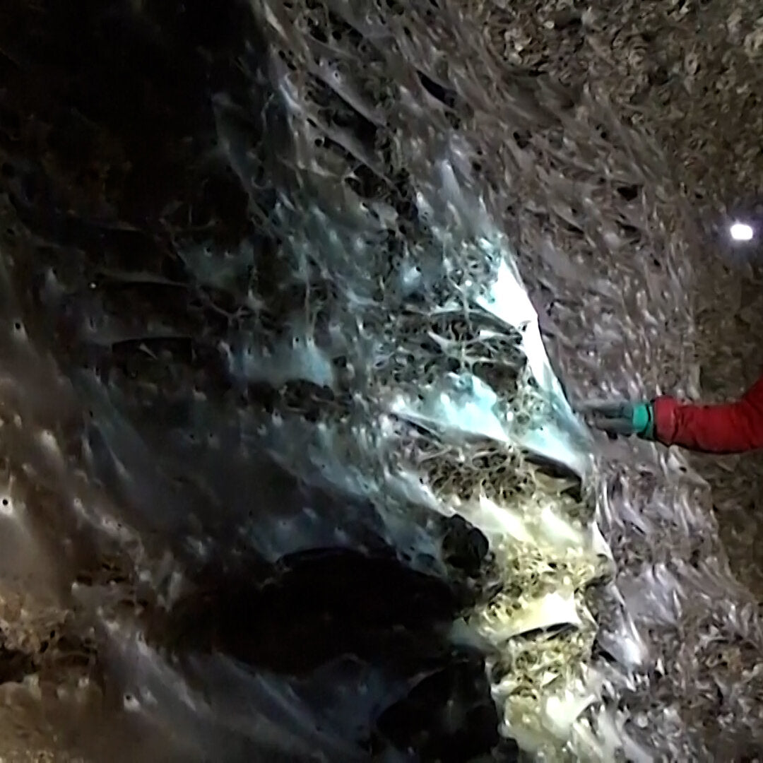 Stinking, Spongy, Dark, Huge: A Spider Web Unlike Any Seen Before