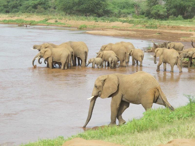 Watering hole attack diagram