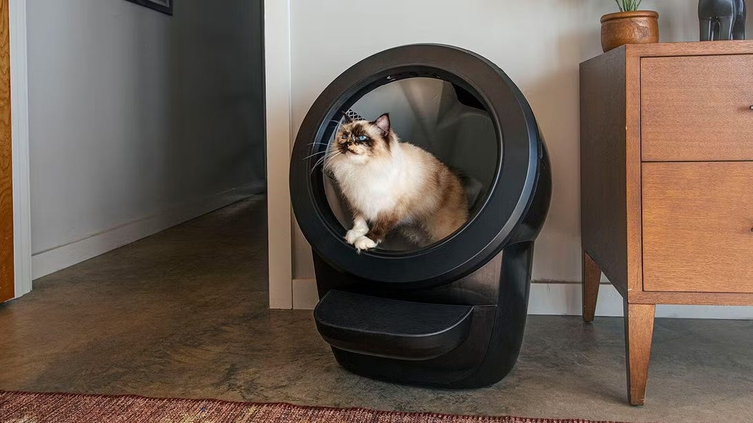 Whisker's Litter-Robot Just Became the First Automatic Litter Box Eligible for HSA and FSA Spending
