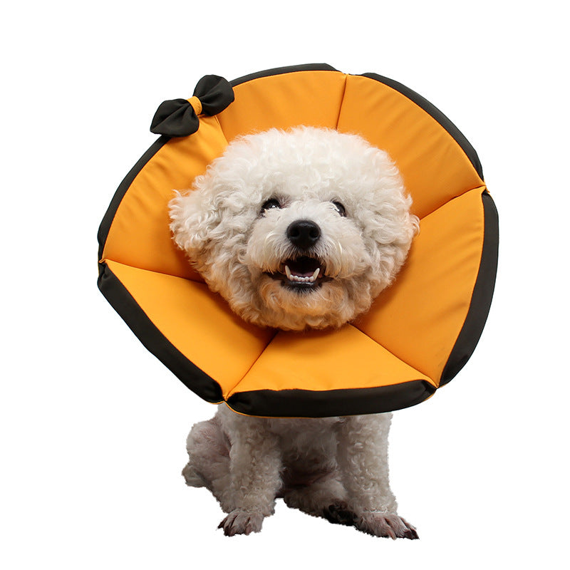 Dog Recovery Care Collar for Sick Pets by Anti Spier