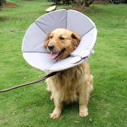 Dog Recovery Care Collar for Sick Pets by Anti Spier