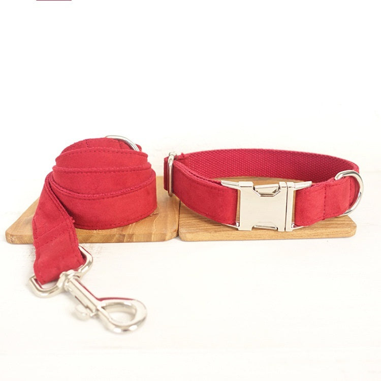 Pet Traction Collar Dog Collar