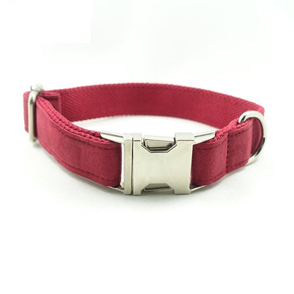 Pet Traction Collar Dog Collar