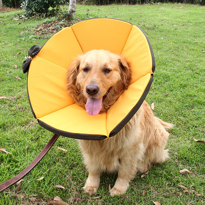 Dog Recovery Care Collar for Sick Pets by Anti Spier