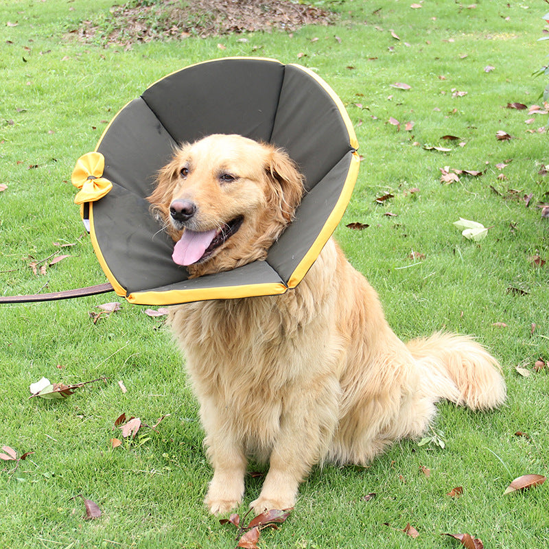 Dog Recovery Care Collar for Sick Pets by Anti Spier