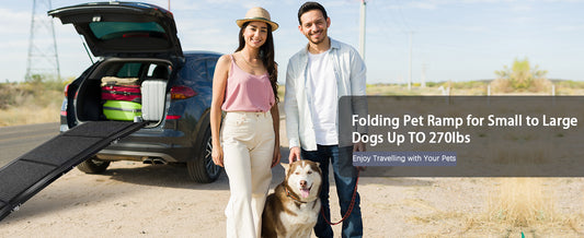 Dog Ramp for Car, 63" Long & 17" Wide Folding Portable Pet Stair Ramp with Non-Slip Rug Surface, Extra Wide Dog Steps for Medium & Large Dogs Up to 250LBS Enter a Car, SUV & Truck by Dropsure
