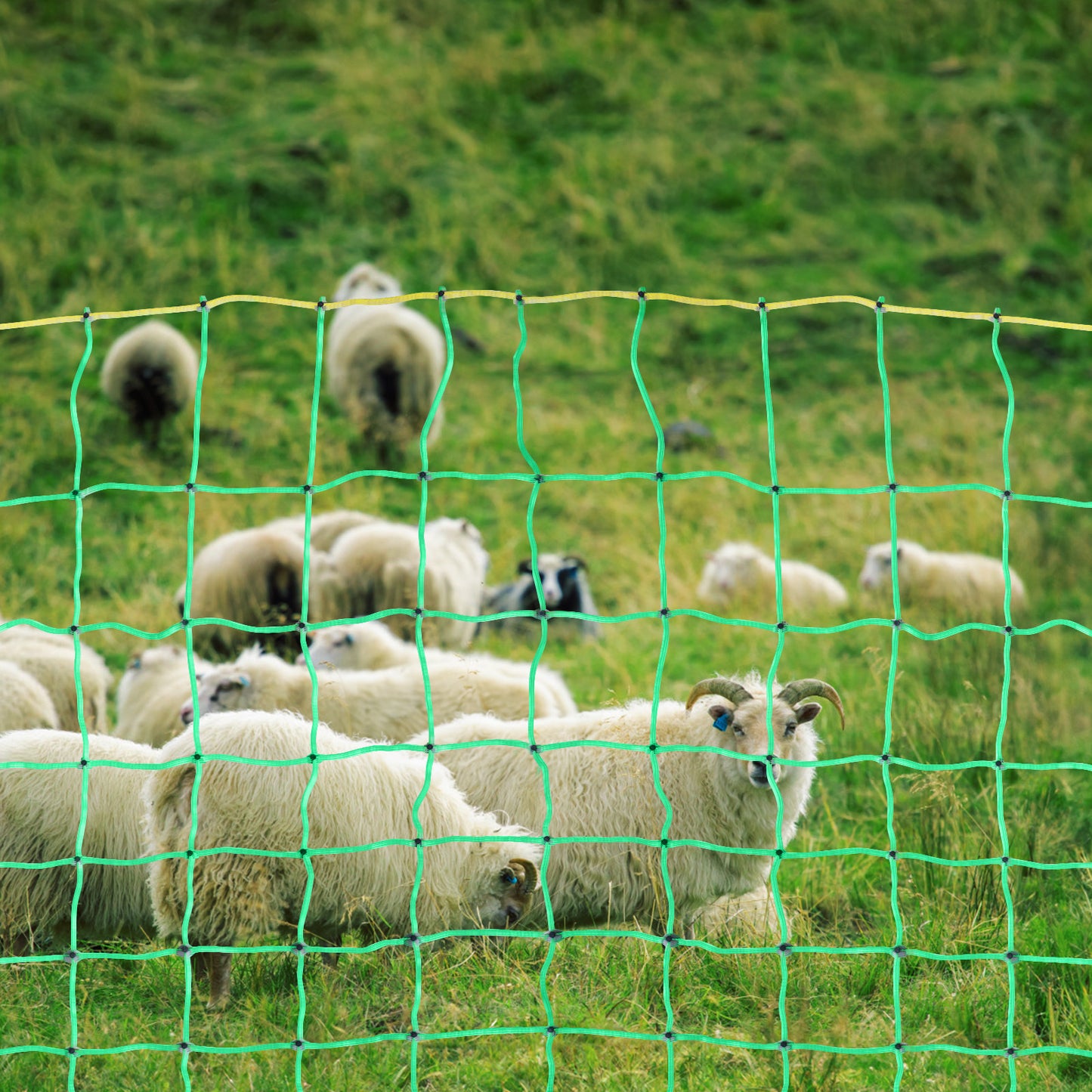 VEVOR Electric Fence Netting, 35 H X 164inch L, PE Net Fencing With Posts & Double-Spiked Stakes, Utility Portable Mesh For Goats, Sheep, Lambs, Deer, Hogs, Dogs, Used In Backyards, Farms, And Ranches