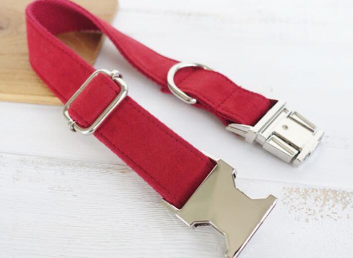 Pet Traction Collar Dog Collar