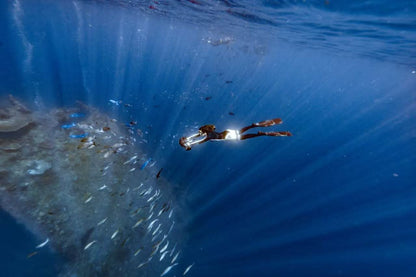 Navbow+ by Sublue Underwater Scooter