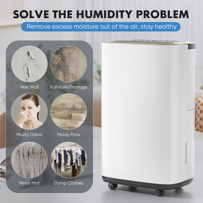 Metal Plastic Portable Dehumidifier