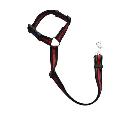 Pet Car Seat Belt & Harness Safety And Style