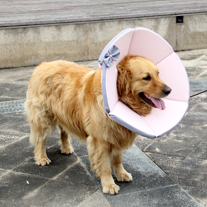Dog Recovery Care Collar for Sick Pets by Anti Spier