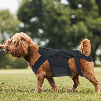 Dog Back Brace for IVDD, Arthritis & Recovery by Anti Spier