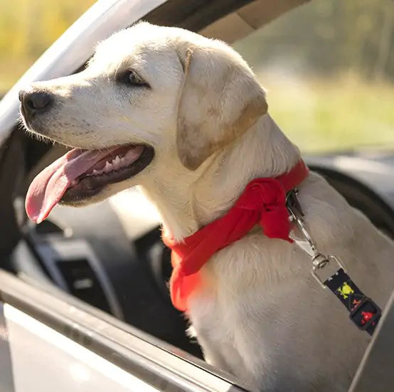 Pet Safety Belt