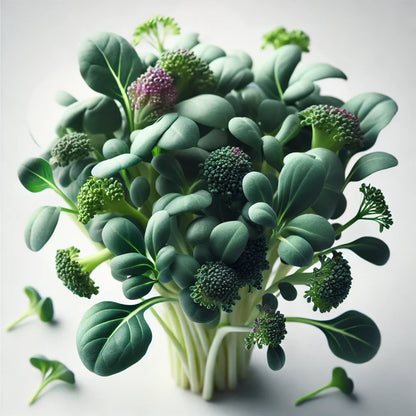 Broccoli