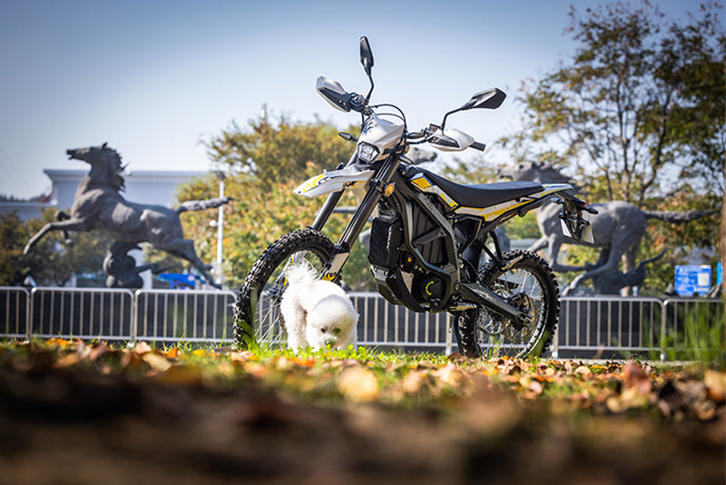 Surron 2025 Best ultra Bee Aluminum Alloy Electric Dirt Bike with Central Motor surron