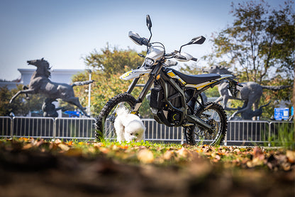 Surron 2025 Best ultra Bee Aluminum Alloy Electric Dirt Bike with Central Motor surron