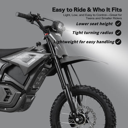OEM Oem 40Mph 3840W Brushless Motor Performance Electric Dirt Bike Off Road Electric Pit Bike