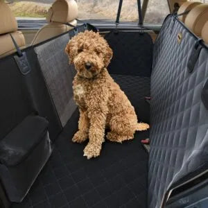 Premium Auto Safety Belt For Dogs