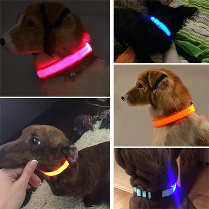 Safety And Visibility For Night Walks