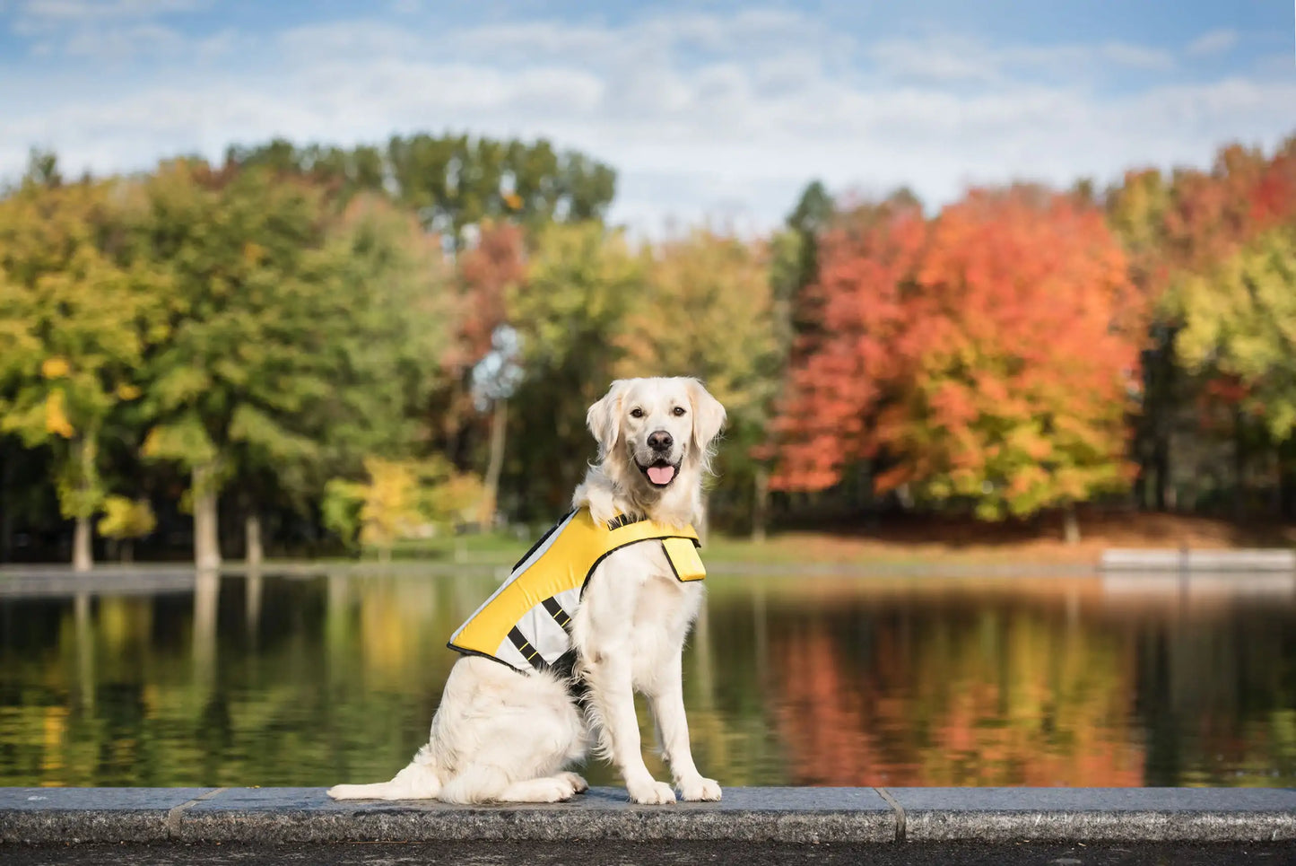 Dog Life Vest Jacket