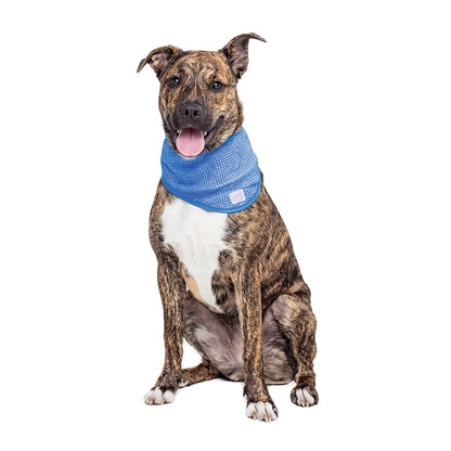 Dog Cooling Bandana