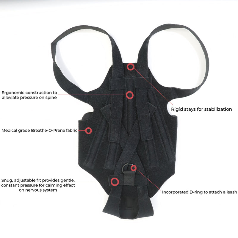 Dog Back Brace for IVDD, Arthritis & Recovery by Anti Spier