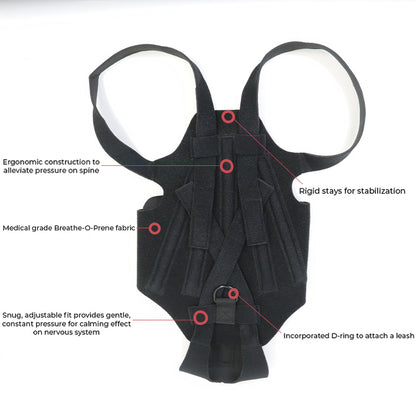 Dog Back Brace for IVDD, Arthritis & Recovery by Anti Spier
