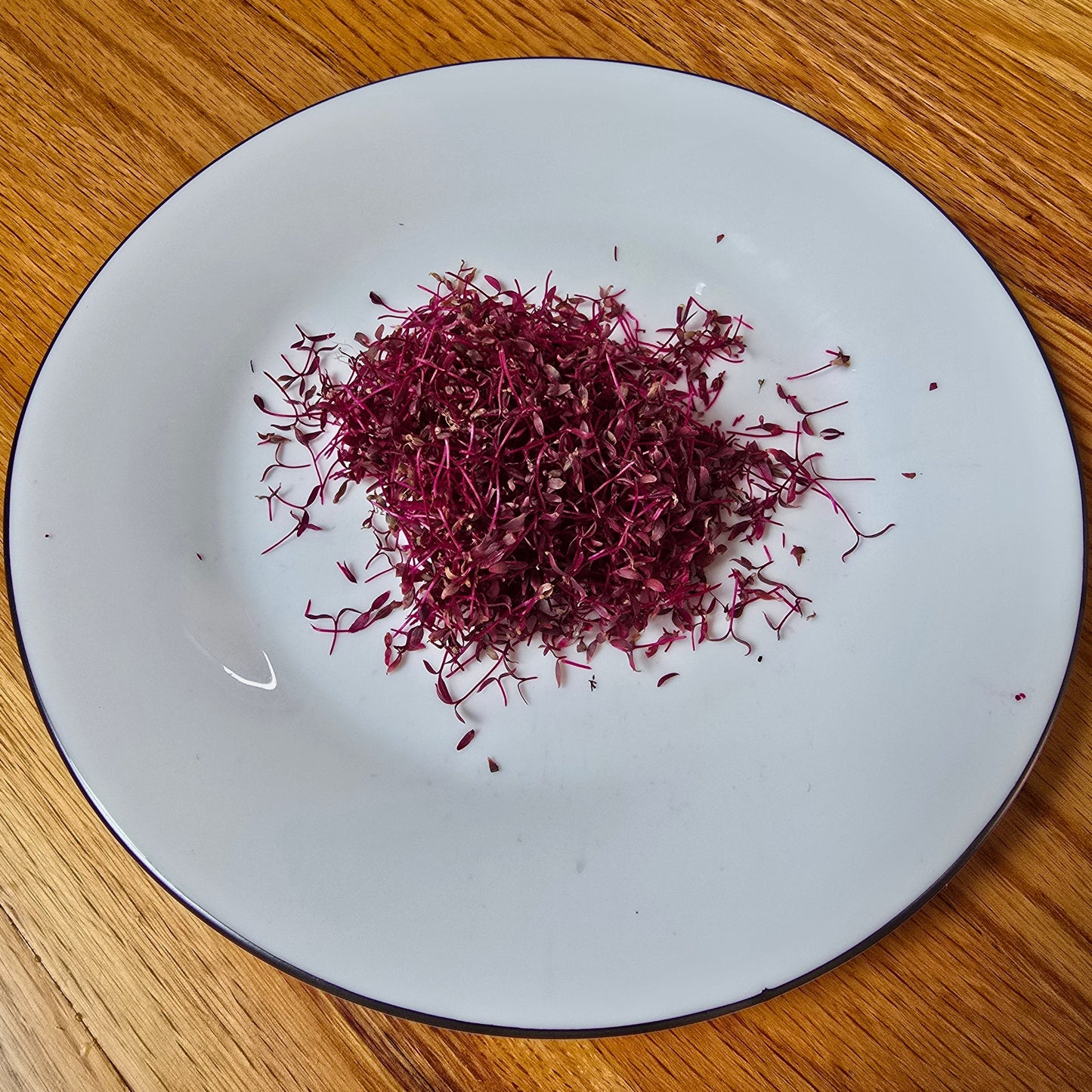Amaranth (Garnet Red)