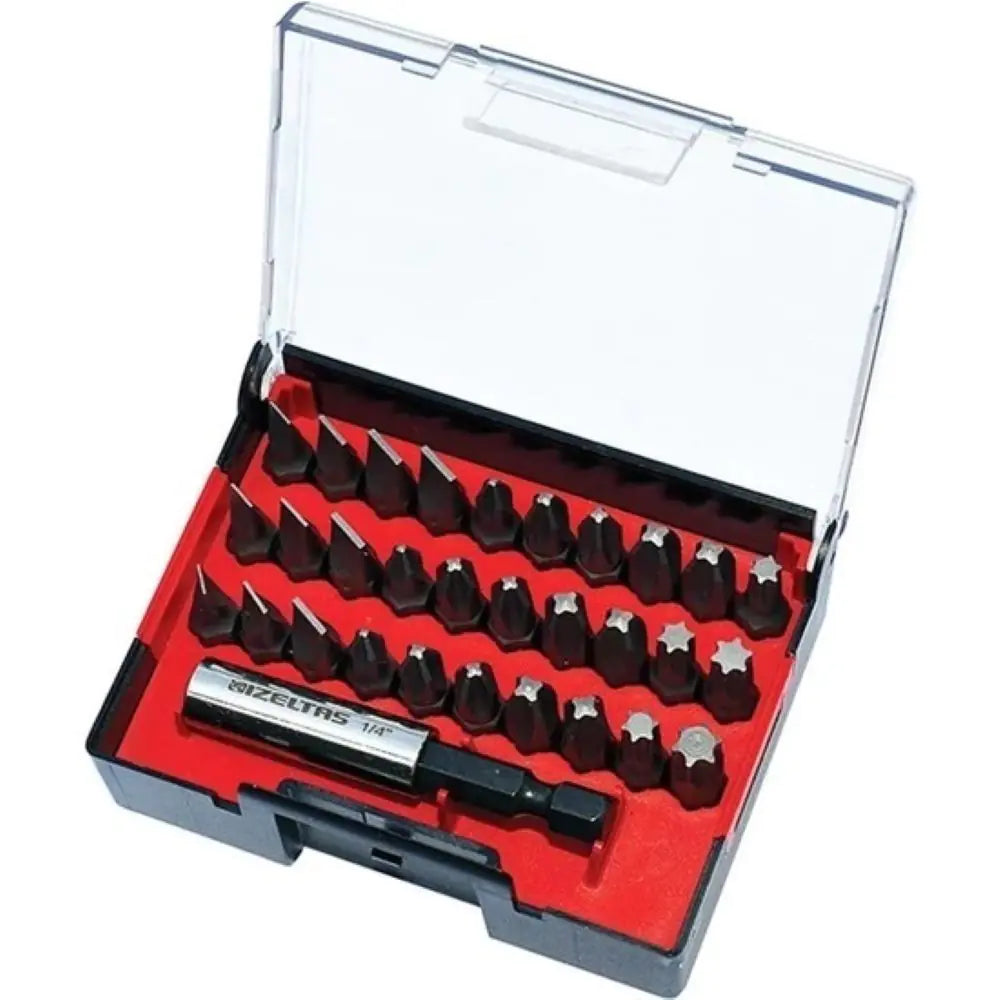 İZELTAŞ 4800008131 Bits Pin Insert with Plastic Box, 31 Pieces