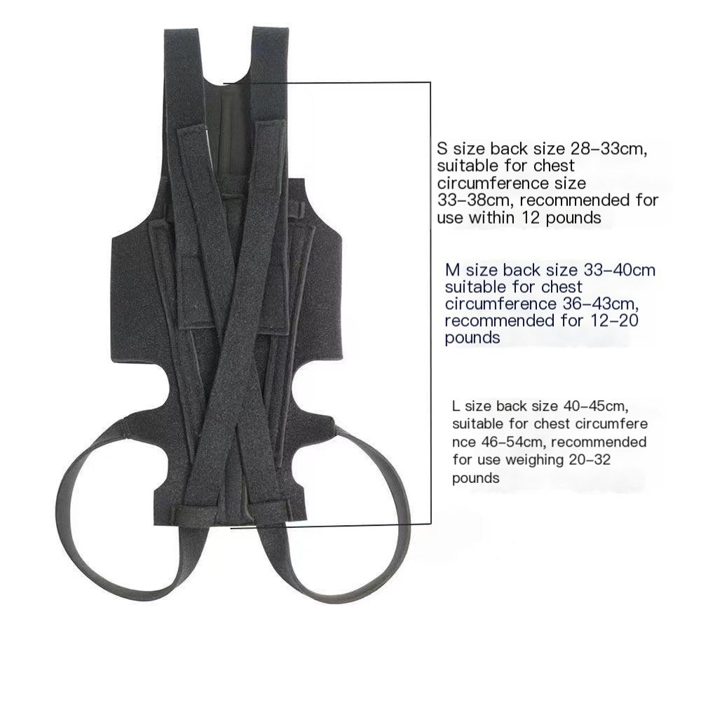 Dog Back Brace for IVDD, Arthritis & Recovery by Anti Spier