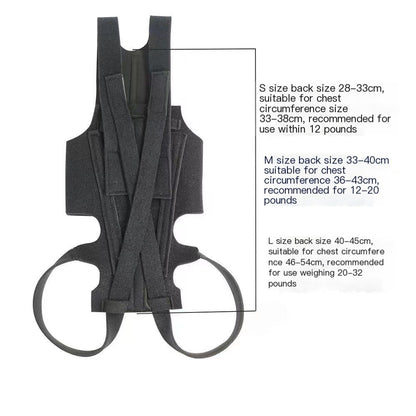 Dog Back Brace for IVDD, Arthritis & Recovery by Anti Spier