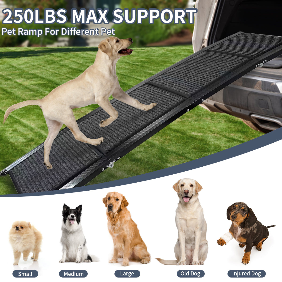 Dog Ramp for Car, 63" Long & 17" Wide Folding Portable Pet Stair Ramp with Non-Slip Rug Surface, Extra Wide Dog Steps for Medium & Large Dogs Up to 250LBS Enter a Car, SUV & Truck by Dropsure