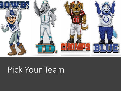 Tampa Bay Buccaneers Pennant Mascot Logo 18 Inch Soft Felt