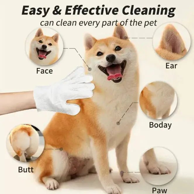 Pet Cleaning Gloves & Wipes by Anti Spier